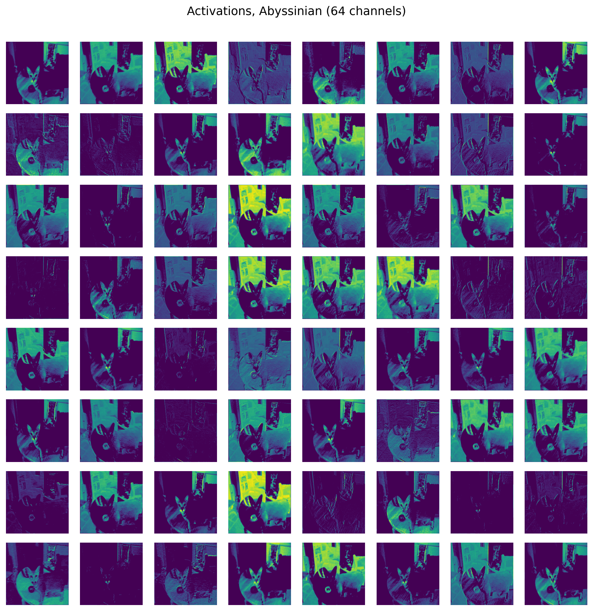 Figure 7: First 64 activation maps on a sample pet image